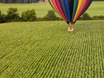 Flying Low Over the Fields