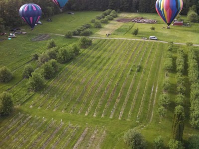 Perfect Evening Hot Air Ballooning Over the St. Croix River